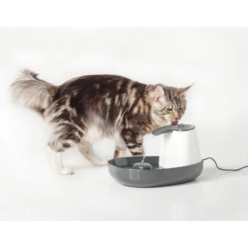 ΠΟΤΙΣΤΡΑ ΣΥΝΤΡΙΒΑΝΙ ΓΑΤΑΣ SAVIC CASCADE ΣΚΥΛΟΙ