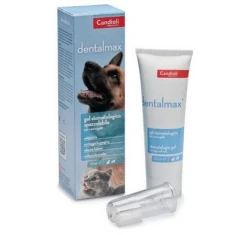 Dentalmax Οδοντόκρεμα Με Οδοντόβουρτσα Dentalmax Οδοντόκρεμα Με Οδοντόβουρτσα