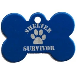 Ταυτότητα Σκύλου Shelter Μπλε 4x2cm Ταυτότητα Σκύλου Shelter Μπλε 4x2cm