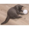 Παιχνίδι Γάτας Smart Cat Ball ΠΑΙΧΝΙΔΙΑ ΓΑΤΑΣ