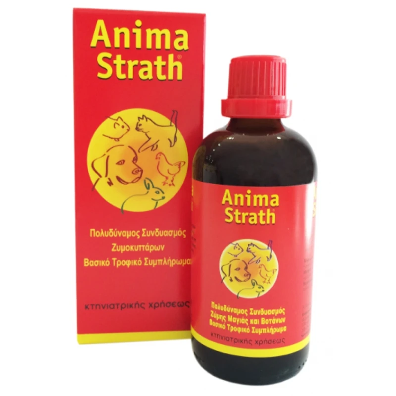 ANIMA STRATH ΦΥΤΙΚΟ ΔΙΑΤΡΟΦΙΚΟ ΣΥΜΠΛΗΡΩΜΑ ΓΙΑ ΟΛΑ ΤΑ ΖΩΑ 100ml ΣΥΜΠΛΗΡΩΜΑΤΑ ΔΙΑΤΡΟΦΗΣ & ΒΙΤΑΜΙΝΕΣ ΣΚΥΛΟΥ ANIMA STRATH ΦΥΤΙΚΟ ΔΙΑΤΡΟΦΙΚΟ ΣΥΜΠΛΗΡΩΜΑ ΓΙΑ ΟΛΑ ΤΑ ΖΩΑ 100ml ΣΥΜΠΛΗΡΩΜΑΤΑ ΔΙΑΤΡΟΦΗΣ & ΒΙΤΑΜΙΝΕΣ ΣΚΥΛΟΥ