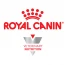 Royal Canin για σκύλους: οδηγός επιλογής για κλινικές δίαιτες