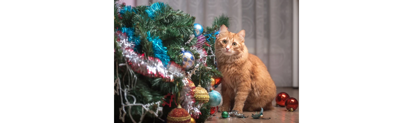 Πώς να προστατεύσετε το χριστουγεννιάτικο δέντρο από τη γάτα σας!