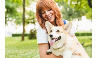 5 +1 απαραίτητα στη βόλτα με τον σκύλο σας!