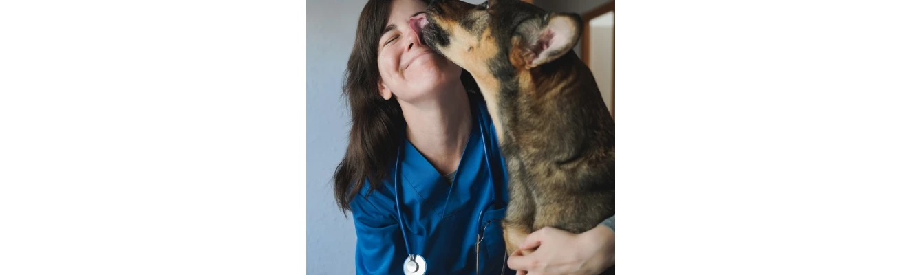 Σκύλος και Κτηνίατρος: Διώξτε Μακριά τις Φοβίες