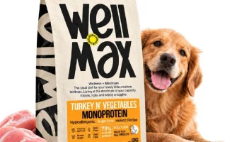 Wellmax Grain Free: Ο Απόλυτος Οδηγός για την Ολιστική & Υποαλλεργική Τροφή Σκύλου