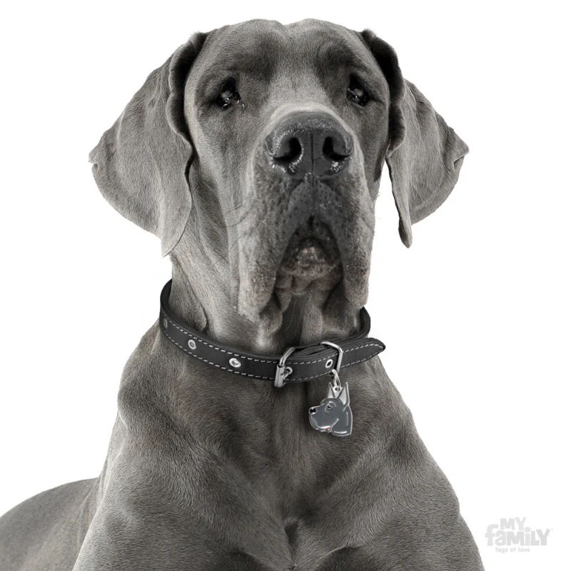 ΤΑΥΤΟΤΗΤΑ ΣΚΥΛΟΥ MY FAMILY  BLUE GREAT DANE ΤΑΥΤΟΤΗΤΕΣ