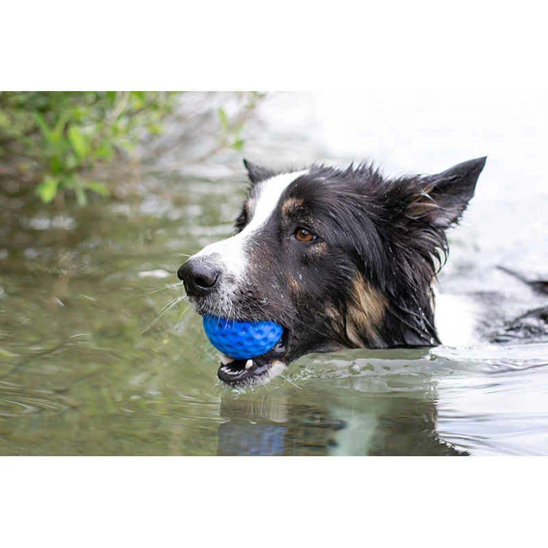 Παιχνίδι Σκύλου kiwi Walker Lets Play Ball Mini 5cm Πορτοκαλί ΣΚΥΛΟΙ