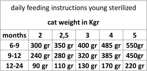 Wellfed Young Sterilized Turkey And Beef 200gr X 12τμχ -Προμήθειες Για Κατοικίδια Κατάστημα πωλήσεων feeding%201 0