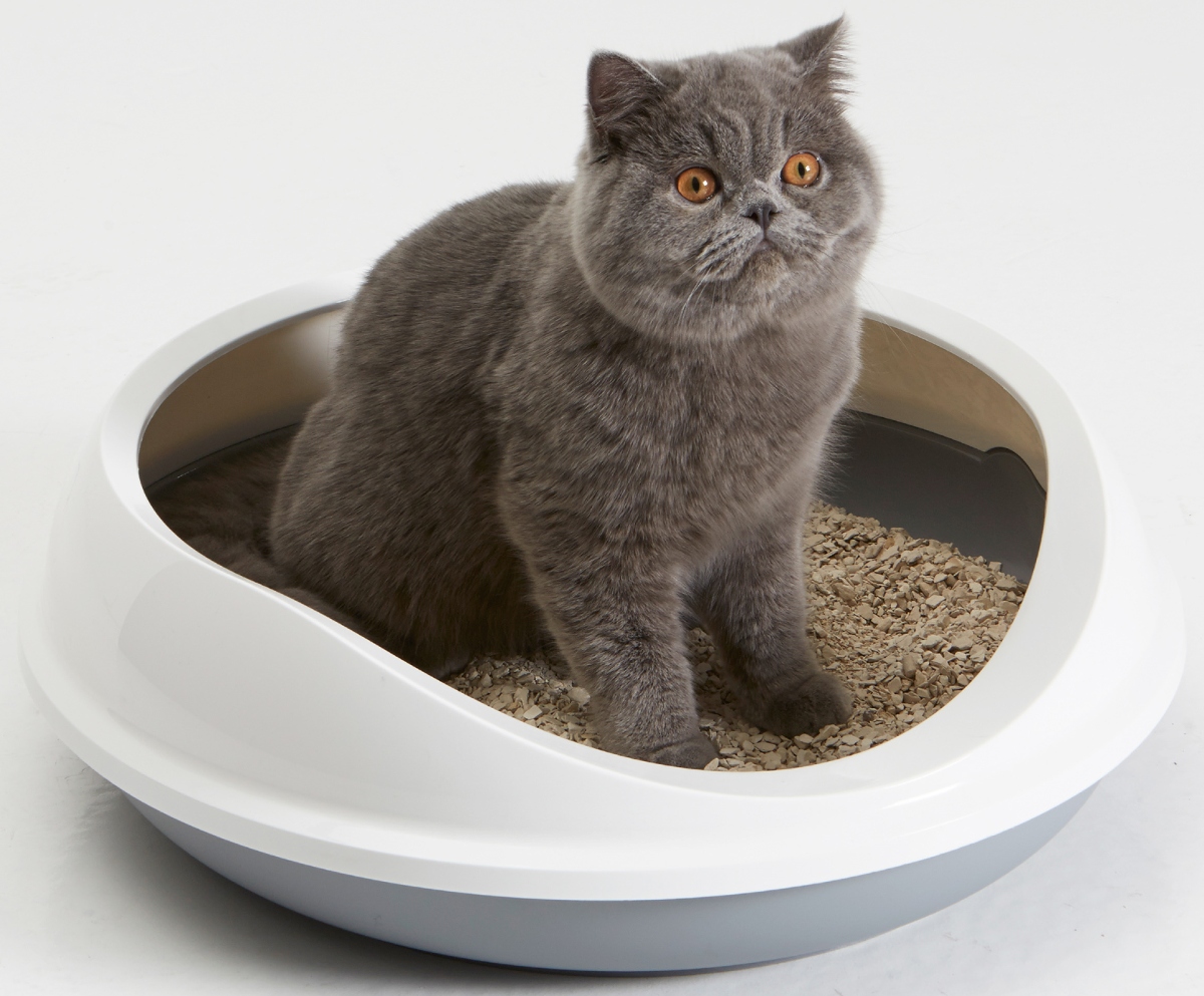 Λεκάνη Γάτας Ανοιχτή Savic FIgaro 55x48,5x15,5cm Γκρι - Λευκό -Προμήθειες Για Κατοικίδια Κατάστημα πωλήσεων savic figaro